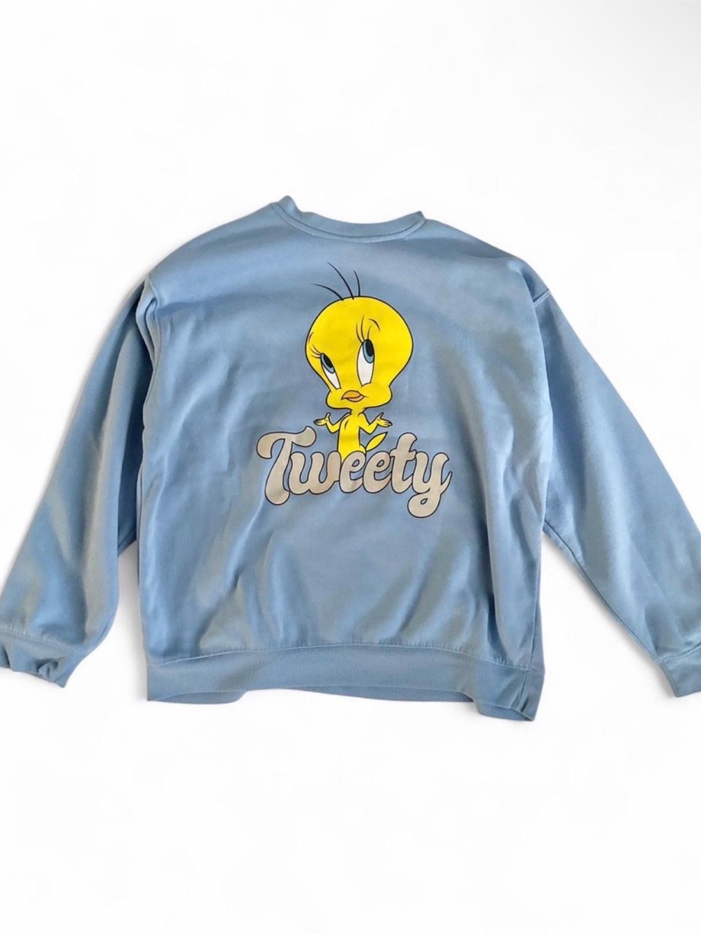 Urban Outfitters Tweety Bird Crewneck Sweater Blue Yellow Size XL